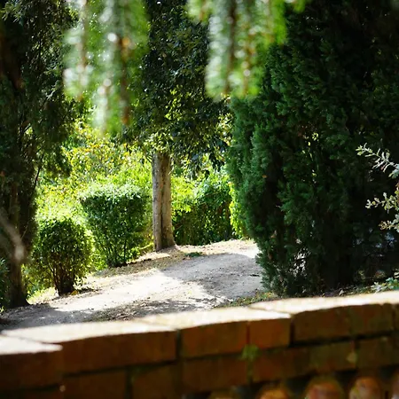 Residenza Degli Ochi * Sagginale